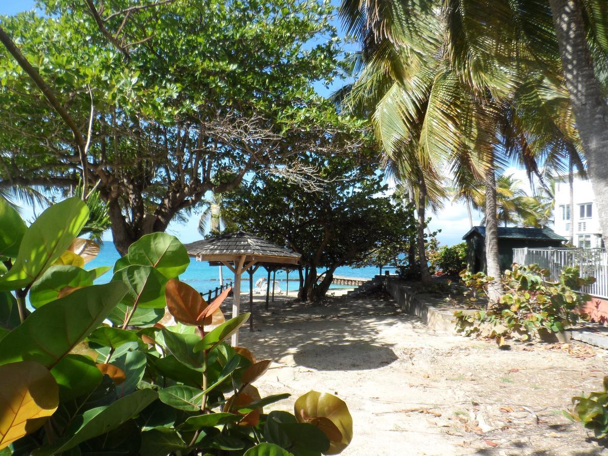 Studio "Bleu Turquoise" Le Gosier  Exterior foto