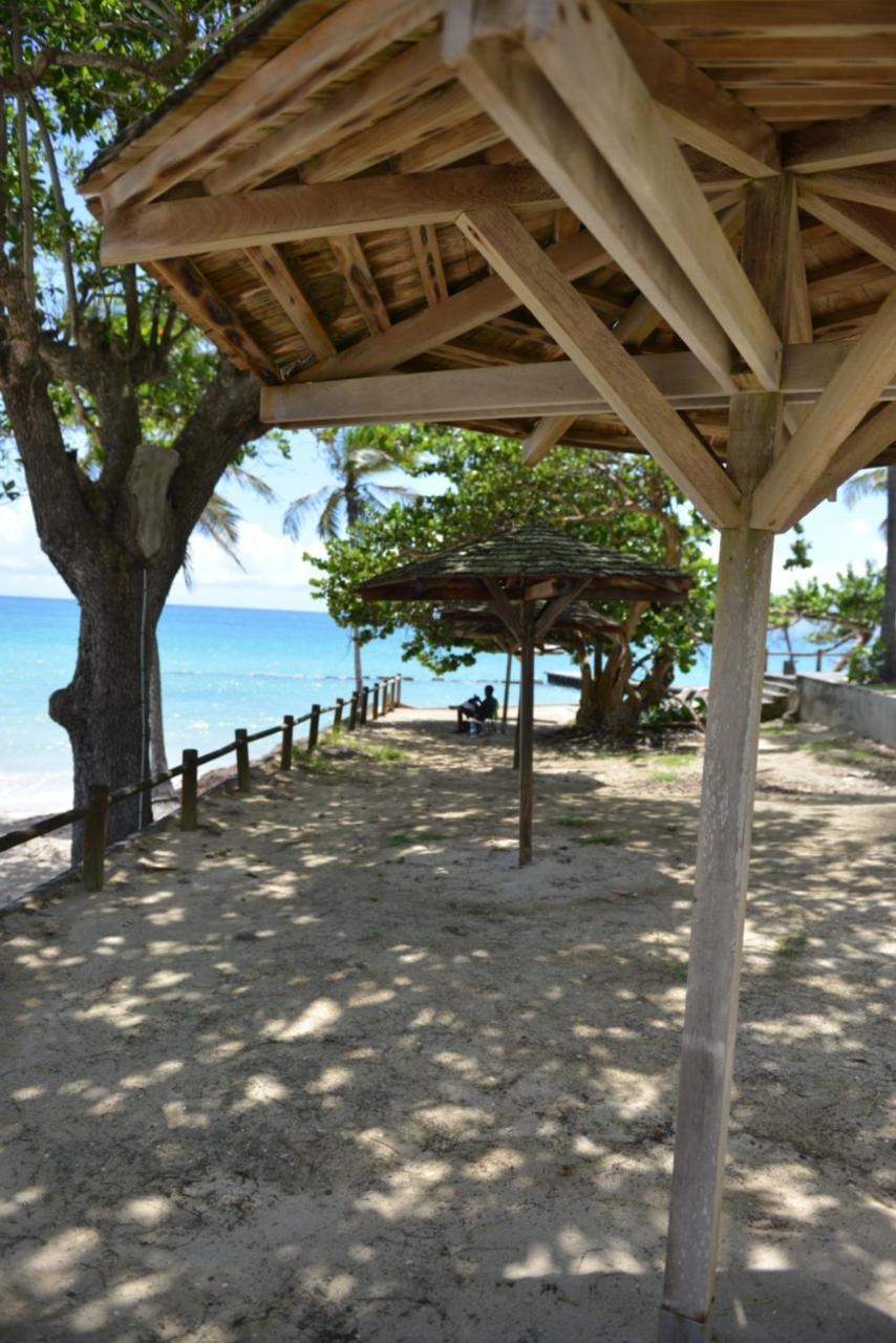 Studio "Bleu Turquoise" Le Gosier  Exterior foto